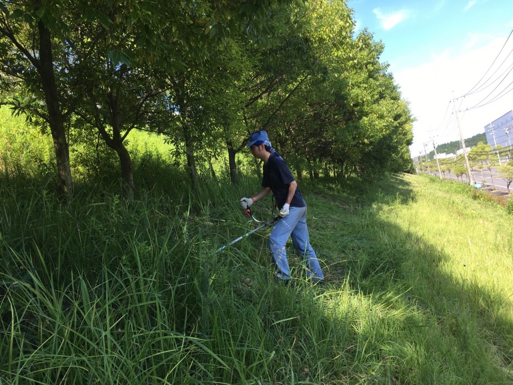 ～番外編～ダイシン工業　鈴鹿工場　草刈りました。